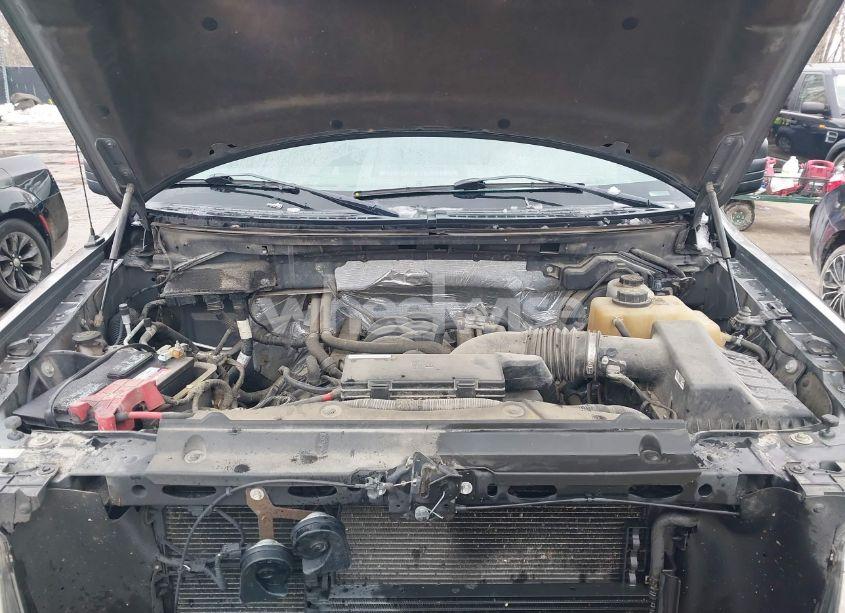 Photo 10 of 2012 Ford F-150 STX (VIN 1FTFX1EF1CFB95293)