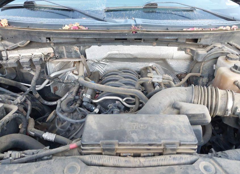 Photo 10 of 2013 Ford F-150 STX (VIN 1FTFX1EF1DFB56723)