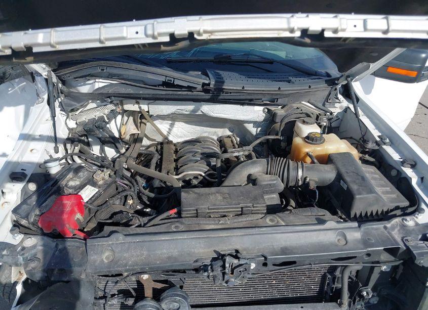 Photo 10 of 2013 Ford F-150 XLT (VIN 1FTFX1EF1DFB65986)