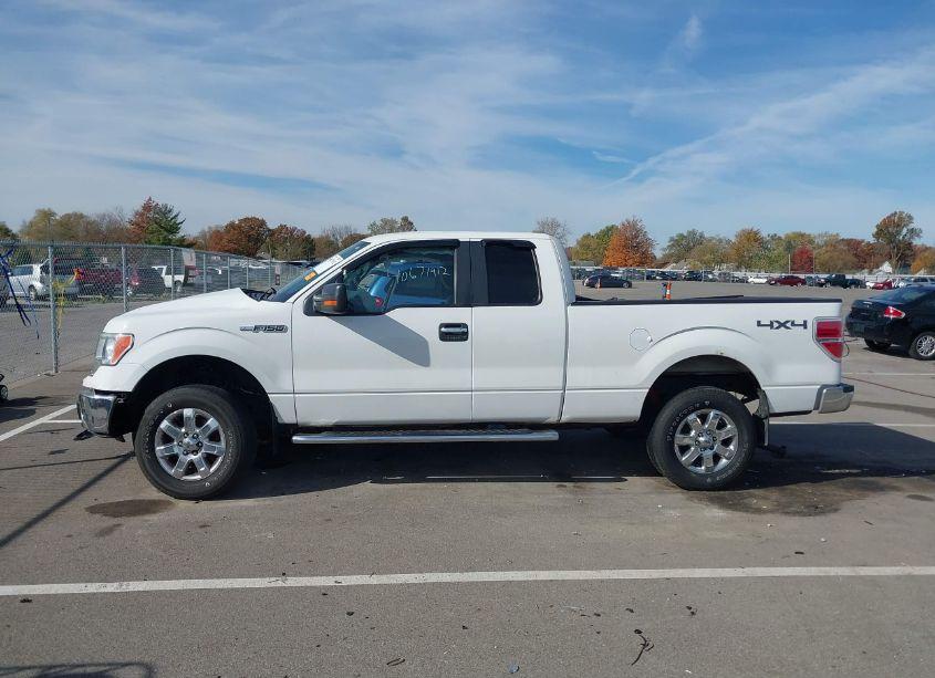 Photo 15 of 2013 Ford F-150 XLT (VIN 1FTFX1EF1DFB65986)