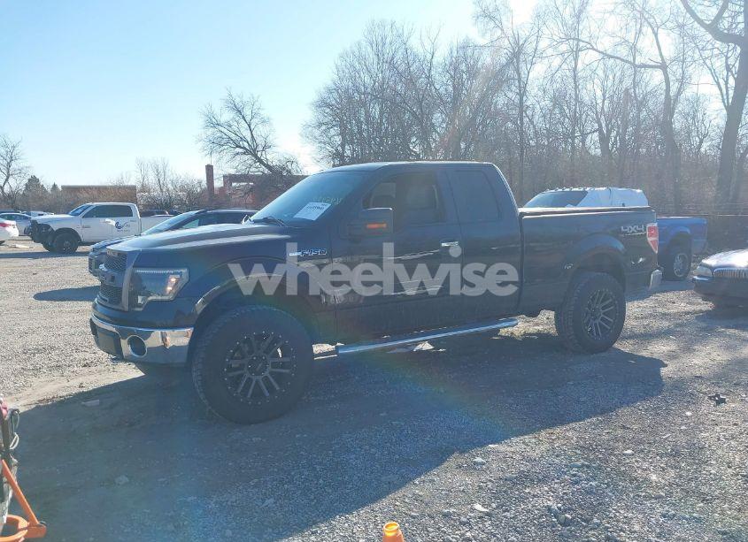 Photo 14 of 2013 Ford F-150 XLT (VIN 1FTFX1EF1DFD80381)