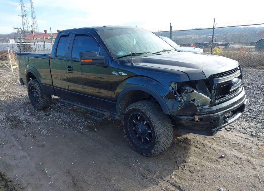 2013 Ford F-150 FX4 (VIN 1FTFX1EF1DKE41557) main photo