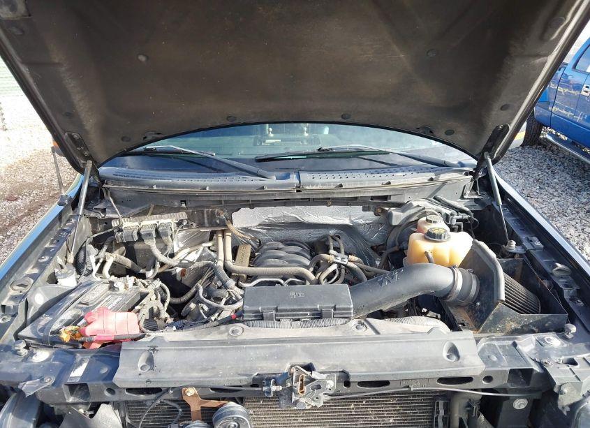 Photo 10 of 2013 Ford F-150 FX4 (VIN 1FTFX1EF1DKE41557)