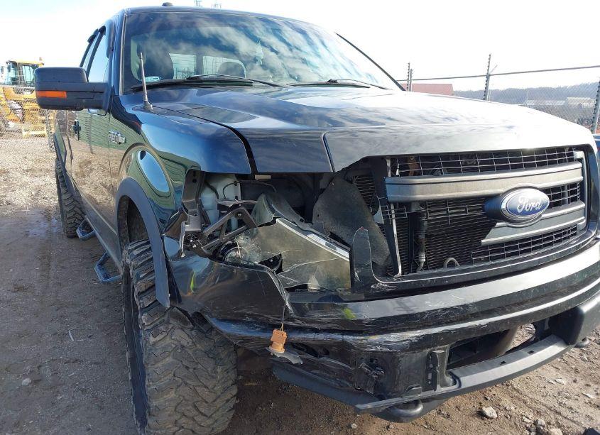 Photo 6 of 2013 Ford F-150 FX4 (VIN 1FTFX1EF1DKE41557)