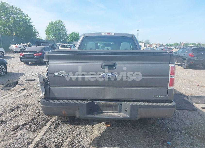 Photo 16 of 2013 Ford F-150 STX (VIN 1FTFX1EF1DKF40234)