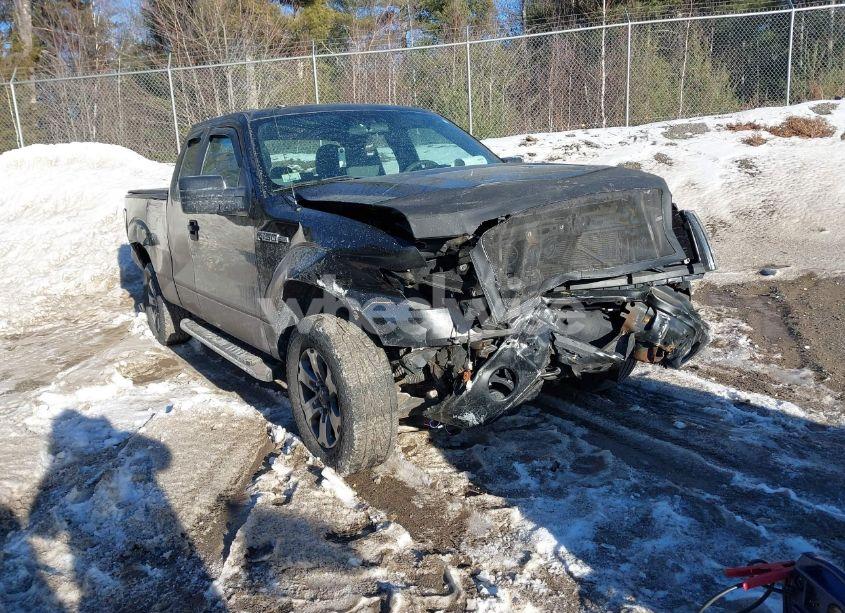 2013 Ford F-150 STX (VIN 1FTFX1EF1DKF58216) main photo