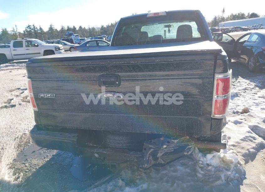 Photo 16 of 2013 Ford F-150 STX (VIN 1FTFX1EF1DKF58216)