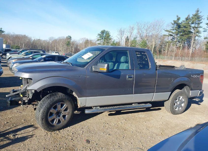 Photo 15 of 2014 Ford F-150 XLT (VIN 1FTFX1EF1EKE15767)