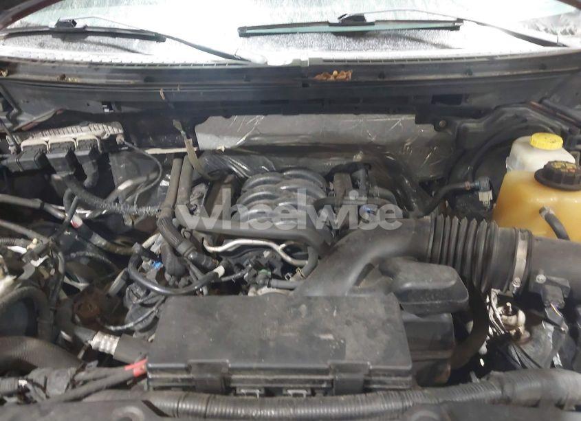 Photo 10 of 2014 Ford F-150 STX (VIN 1FTFX1EF1EKF24715)