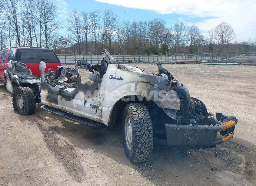 2015 Ford F-150 XL (VIN 1FTFX1EF1FKE66882) main photo