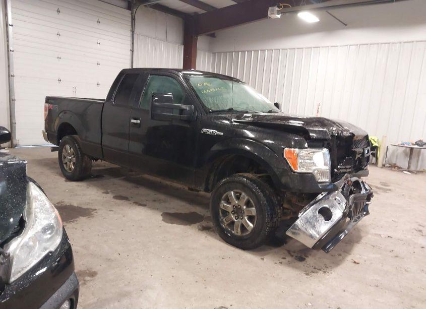 2013 Ford F-150 XLT (VIN 1FTFX1EF2DFB11953) main photo