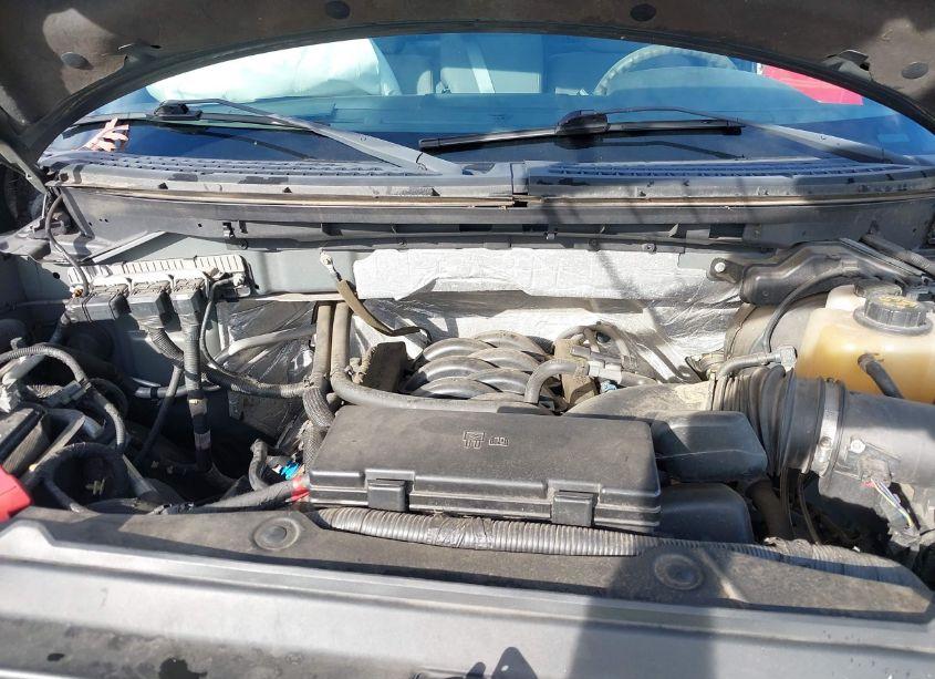 Photo 10 of 2013 Ford F-150 STX (VIN 1FTFX1EF2DFB33502)