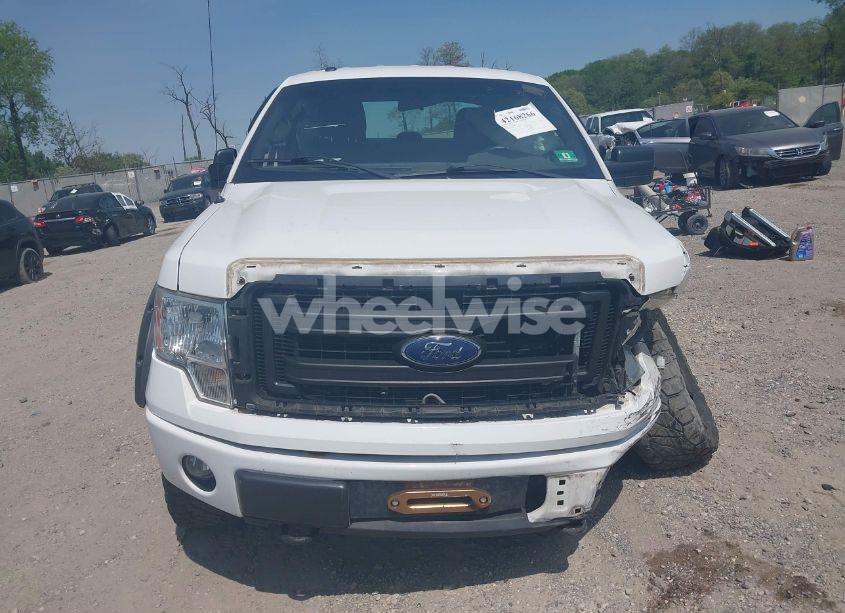 Photo 12 of 2013 Ford F-150 STX (VIN 1FTFX1EF2DFD09626)