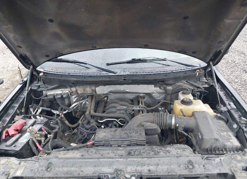 Photo 10 of 2013 Ford F-150 XLT (VIN 1FTFX1EF2DKF49945)