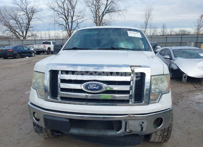 Photo 6 of 2011 Ford F-150 XLT (VIN 1FTFX1EF3BFA20185)