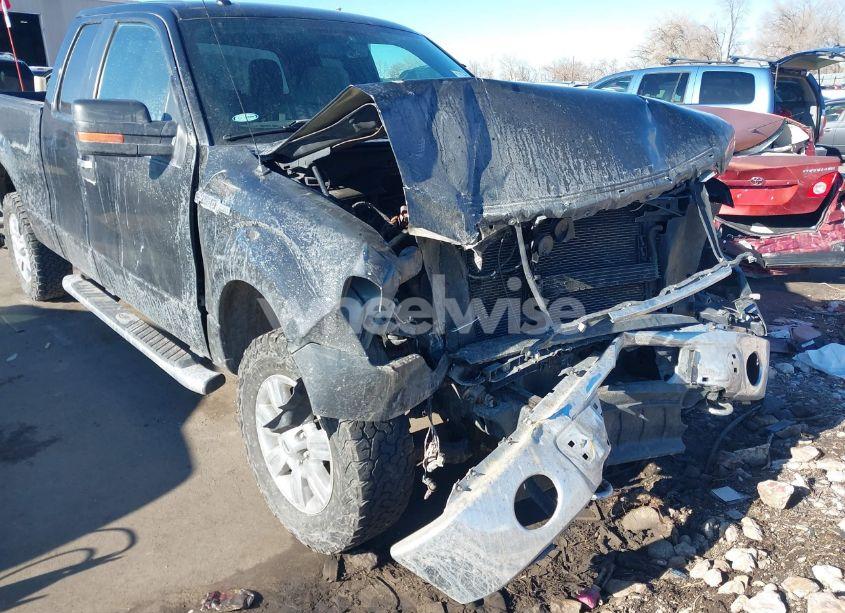 Photo 6 of 2011 Ford F-150 XLT (VIN 1FTFX1EF3BKD48407)