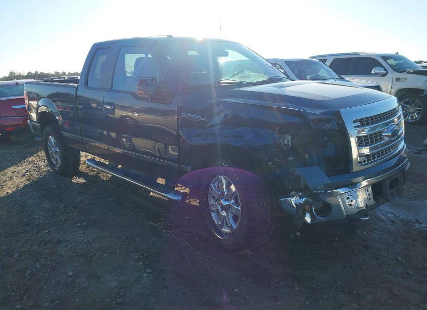 2013 Ford F-150 XLT (VIN 1FTFX1EF3DFB79985) main photo
