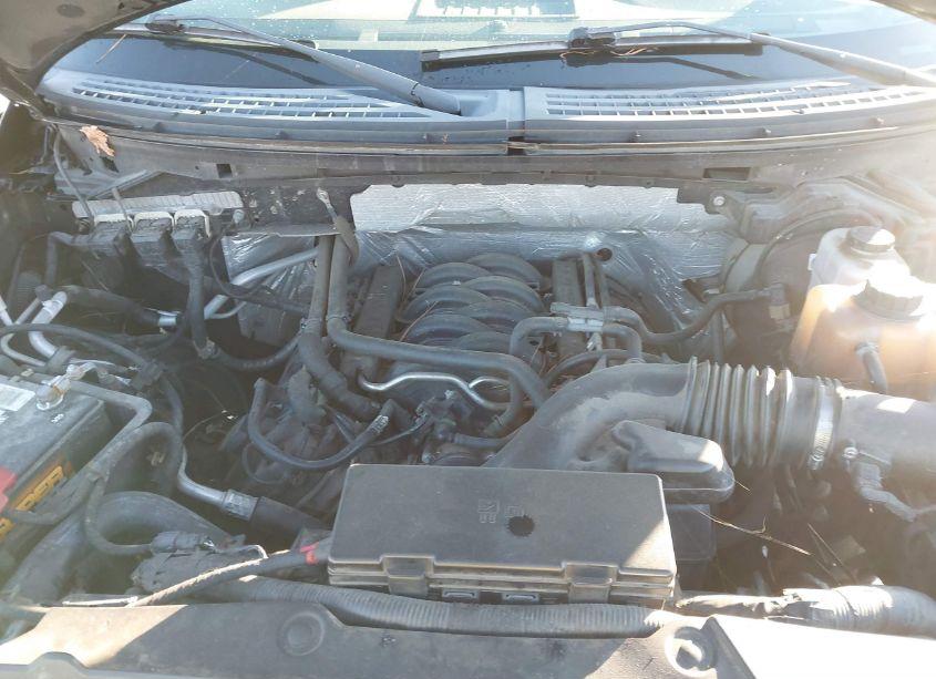 Photo 10 of 2013 Ford F-150 XLT (VIN 1FTFX1EF3DFB79985)