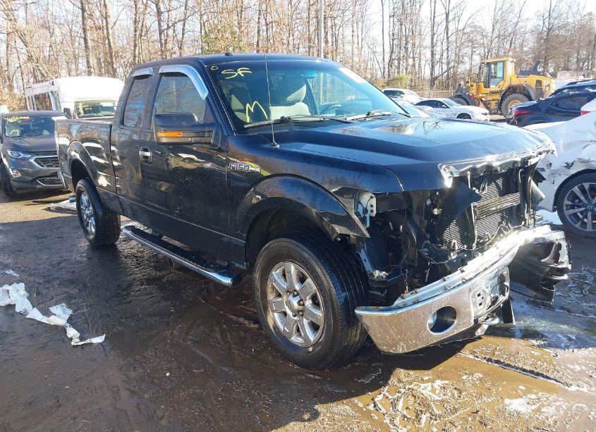 2013 Ford F-150 XLT (VIN 1FTFX1EF3DFB88816) main photo