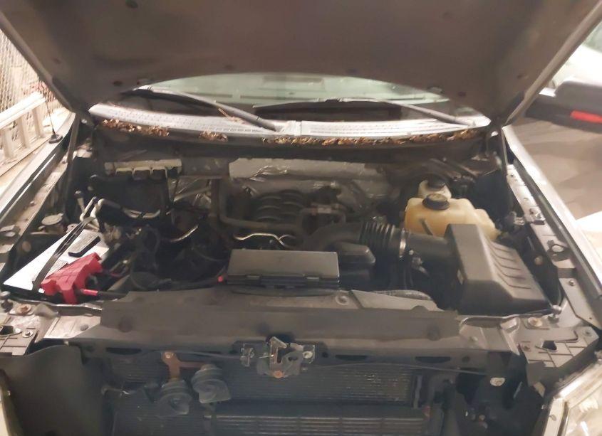 Photo 10 of 2013 Ford F-150 XLT (VIN 1FTFX1EF3DFC96370)