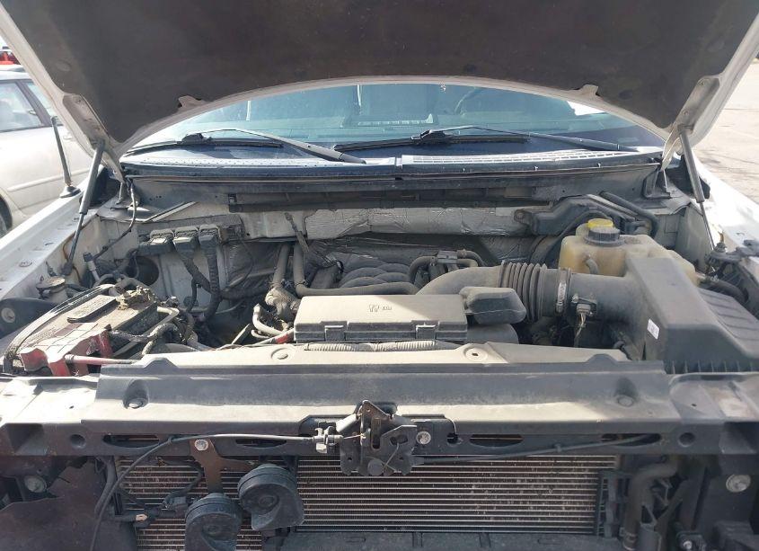 Photo 10 of 2014 Ford F-150 XL (VIN 1FTFX1EF3EKF54671)