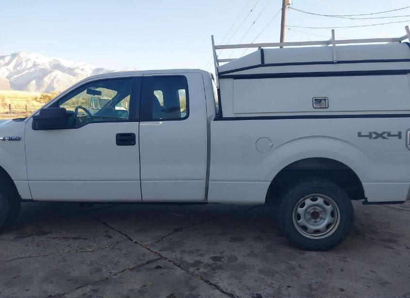 Photo 14 of 2014 Ford F-150 XL (VIN 1FTFX1EF3EKF54671)