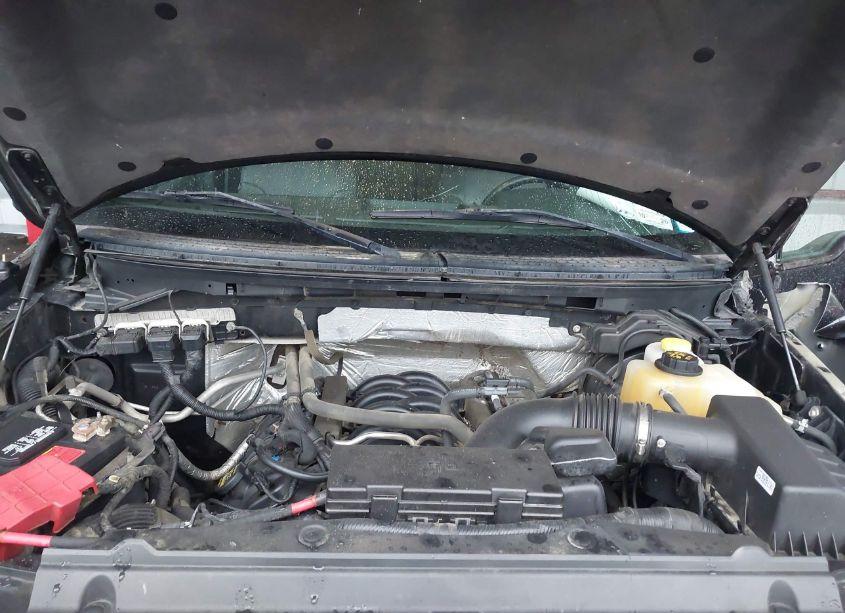 Photo 10 of 2014 Ford F-150 XLT (VIN 1FTFX1EF3EKG39574)