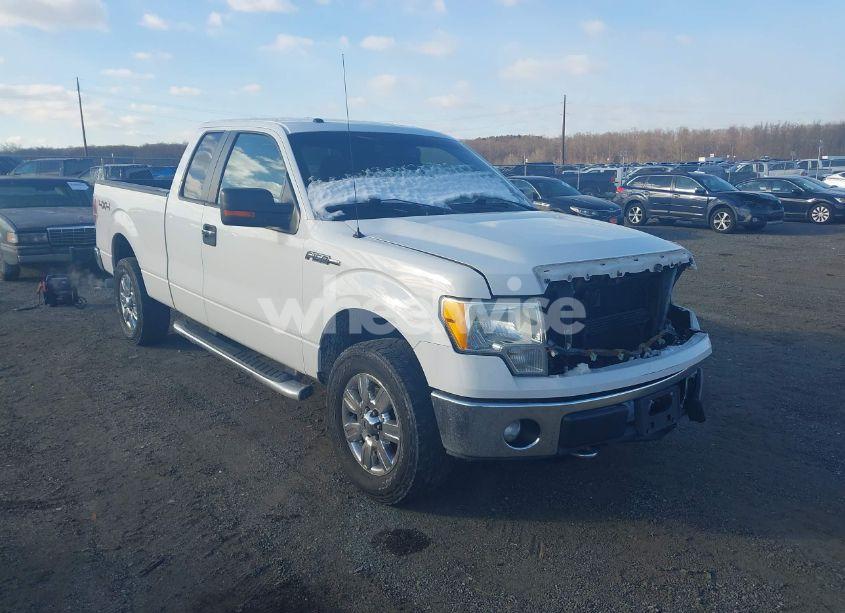 2011 Ford F-150 XLT (VIN 1FTFX1EF4BFA04271) main photo