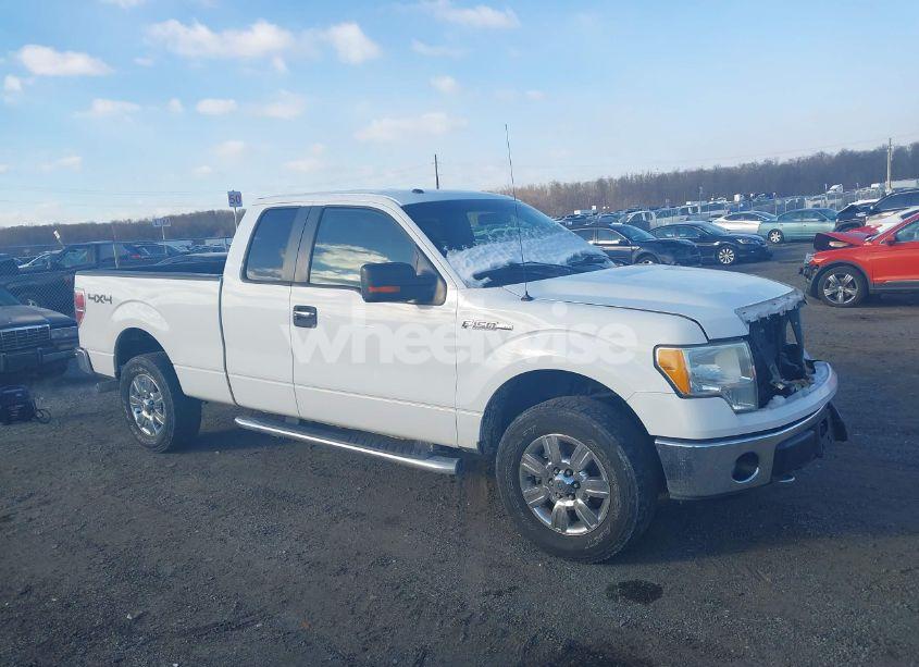 Photo 13 of 2011 Ford F-150 XLT (VIN 1FTFX1EF4BFA04271)