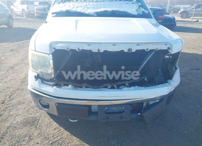 Photo 6 of 2011 Ford F-150 XLT (VIN 1FTFX1EF4BFA04271)