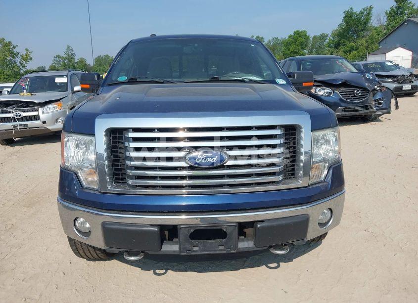 Photo 12 of 2011 Ford F-150 XLT (VIN 1FTFX1EF4BFA36783)