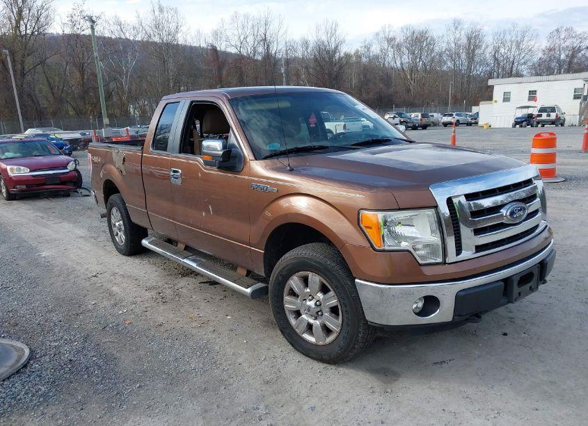 2011 Ford F-150 XLT (VIN 1FTFX1EF4BFA57231) main photo