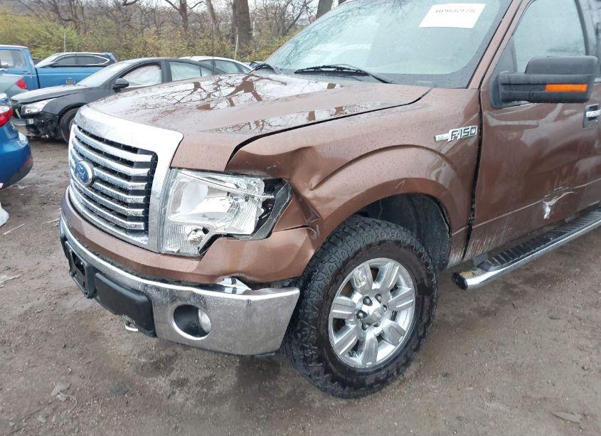 Photo 6 of 2011 Ford F-150 XLT (VIN 1FTFX1EF4BFC57428)