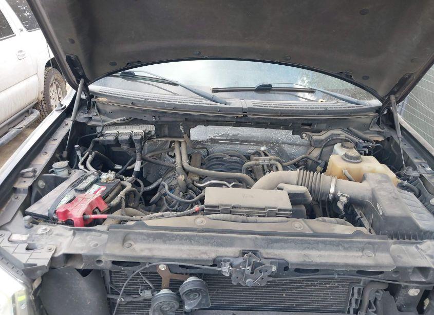 Photo 10 of 2013 Ford F-150 STX (VIN 1FTFX1EF4DFB18421)