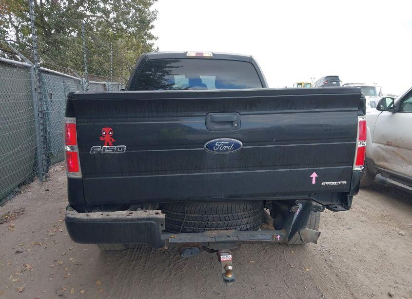 Photo 17 of 2013 Ford F-150 STX (VIN 1FTFX1EF4DFB18421)