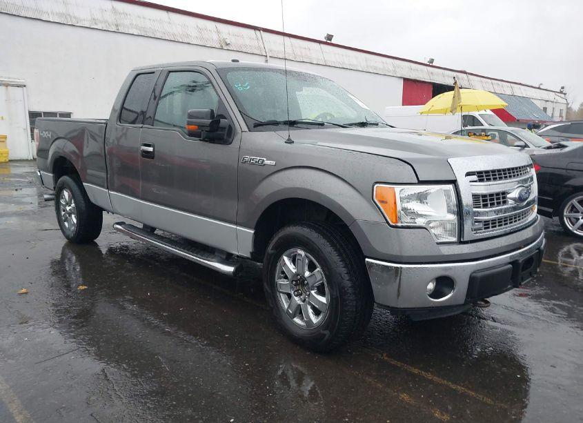 2013 Ford F-150 XLT (VIN 1FTFX1EF4DFC41054) main photo