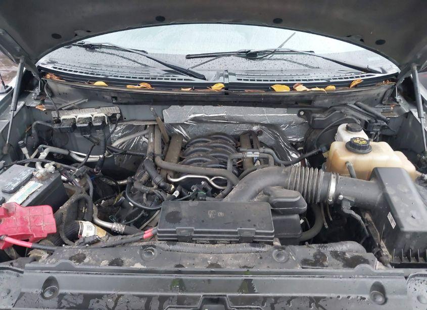 Photo 10 of 2013 Ford F-150 XLT (VIN 1FTFX1EF4DFC41054)