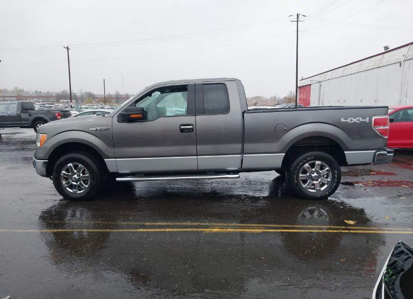 Photo 14 of 2013 Ford F-150 XLT (VIN 1FTFX1EF4DFC41054)