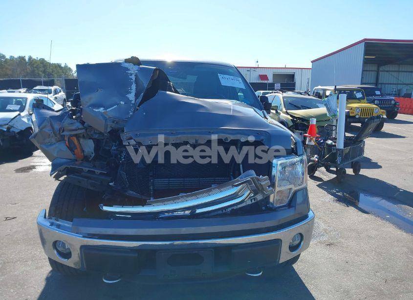 Photo 12 of 2013 Ford F-150 XLT (VIN 1FTFX1EF4DKG37363)