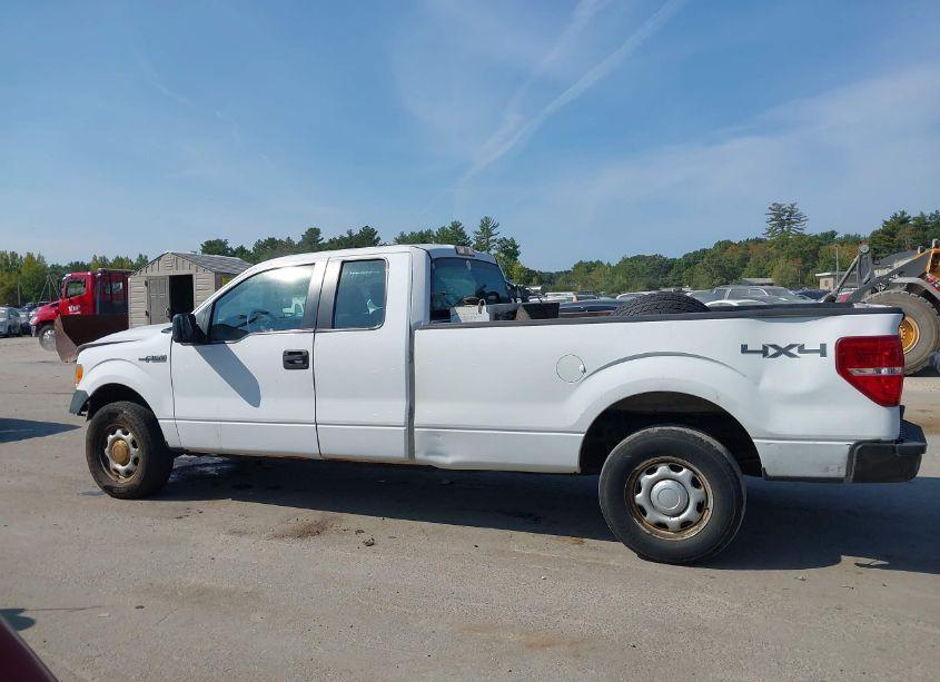 Photo 15 of 2014 Ford F-150 XL (VIN 1FTFX1EF4EKE45667)