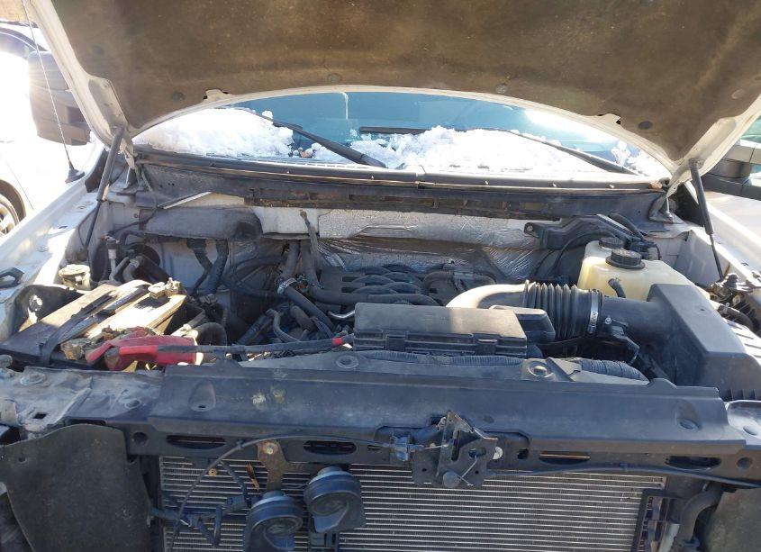 Photo 10 of 2011 Ford F-150 XLT (VIN 1FTFX1EF5BFC22669)