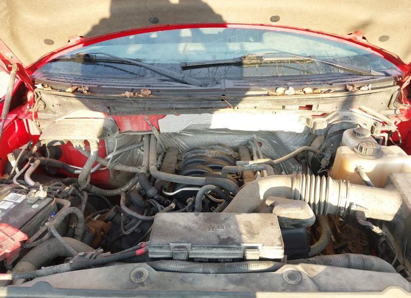 Photo 10 of 2011 Ford F-150 XLT (VIN 1FTFX1EF5BFC98991)