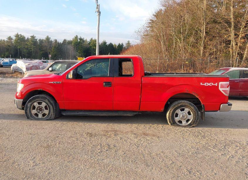 Photo 14 of 2011 Ford F-150 XLT (VIN 1FTFX1EF5BFC98991)