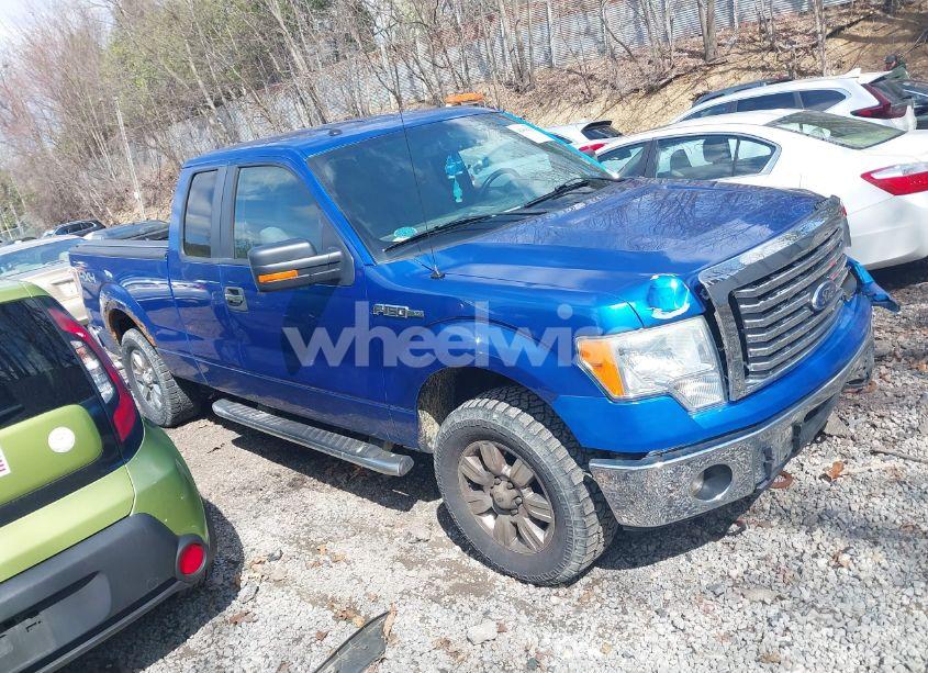 2011 Ford F-150 XLT (VIN 1FTFX1EF5BFD24487) main photo
