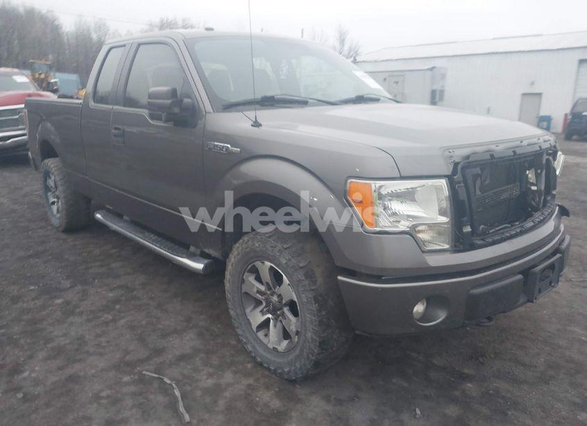 2013 Ford F-150 STX (VIN 1FTFX1EF5DFB00428) main photo
