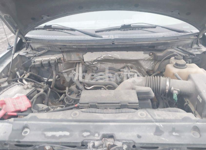 Photo 10 of 2013 Ford F-150 STX (VIN 1FTFX1EF5DFB00428)