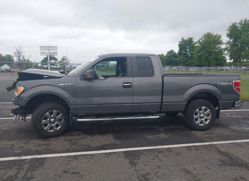 Photo 14 of 2013 Ford F-150 XLT (VIN 1FTFX1EF5DFB79258)