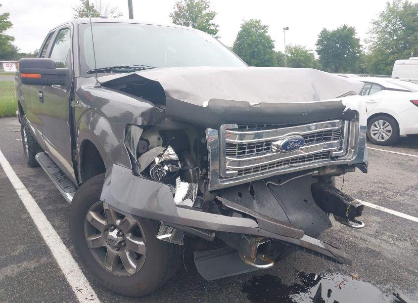 Photo 17 of 2013 Ford F-150 XLT (VIN 1FTFX1EF5DFB79258)