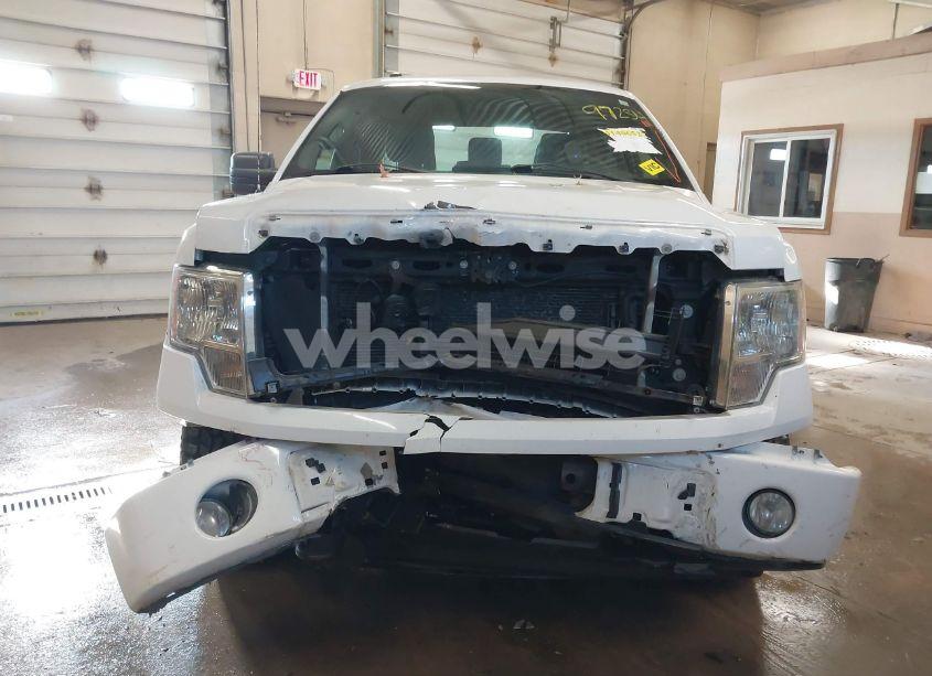 Photo 12 of 2013 Ford F-150 STX (VIN 1FTFX1EF5DFC95186)