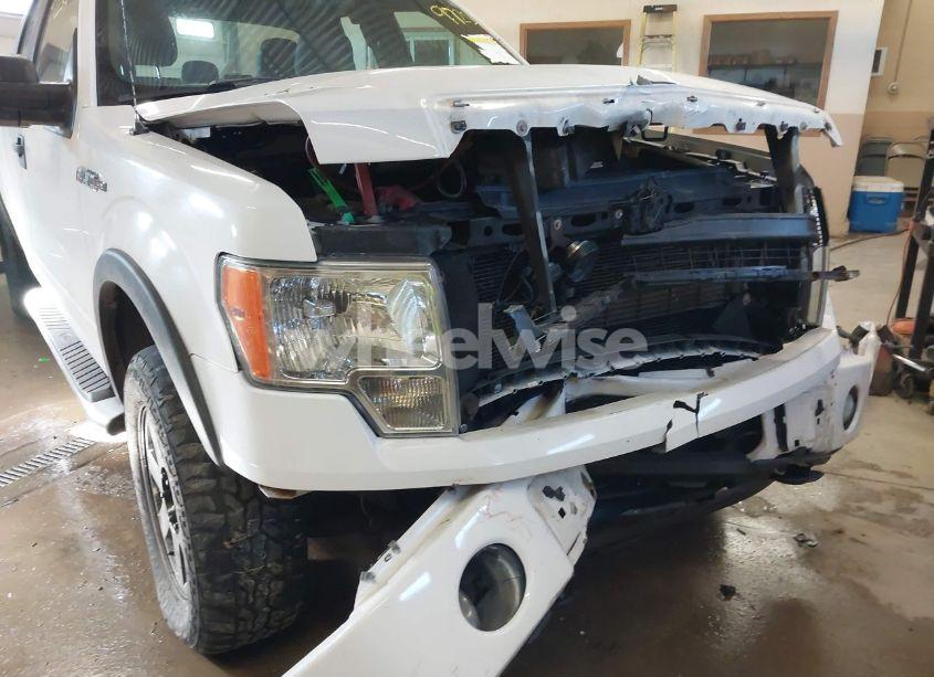 Photo 18 of 2013 Ford F-150 STX (VIN 1FTFX1EF5DFC95186)